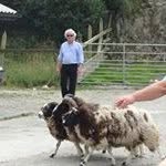 Chris Greaney - @greaneychris - Instagram