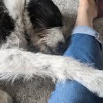 Christine Greatorex - @christine.greatorex - Instagram