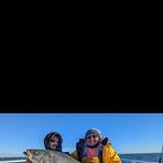 Chris Gregor - Facebook