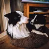 Chris_Gregson - @c_gregson - TikTok