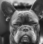 Chris Gridley - Facebook