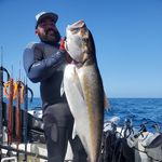 Chris Grimes - @floridagulfcoastscuba - Instagram