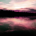 Chris Grissom - @chris.grissom.75 - Instagram