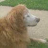Chris Grob - @chris.grob - TikTok