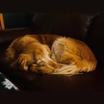 Clarissa Guay - @chrisguay - Instagram