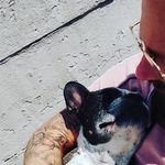 Chris-Guess - @chris_guess_lfb - Instagram