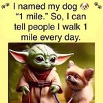 Chris Gulas - @zipzapdude2052 - Instagram
