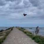Chris Gundersen - @chris_gundersen - Instagram