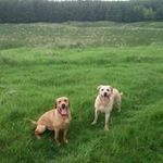 Chris Gunning - @gunning9357 - Instagram