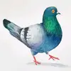 chrisguralart - @sleepinggiantnyc - TikTok