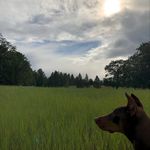 Chris Guyette - @chris_g198 - Instagram