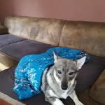 Christine Habeck - @christine.habeck.33 - Instagram