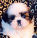 Christine Hagner - Facebook