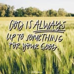 Chris Hake - @martyzmom - Instagram