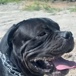 Chris Hake - @chris.hake.12177 - Instagram
