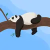 Chris Halbert - @chris.halbert3 - TikTok