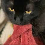 Chris Hall - @crawlrdu - Instagram