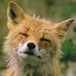 Chris Hamblett - @chris.hamblett.42 - Instagram