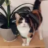 Christine Hamblet358 - @christinehamblet31 - TikTok