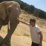 Chris Hamblin - @chris.hamblin.378 - Instagram