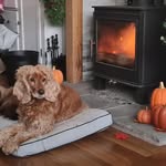 Chris Hamer - @chris.hamer - Instagram