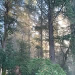 Chris hamersly - @chris.hamersly - Instagram