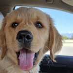Christopher Hanchett - @christopherhanchett - Instagram