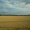 Christian Hanisch716 - @christianhanisch - TikTok