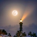 Chris Hannon - @chris.hannon.330 - Instagram