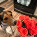 Chris Happel - Facebook