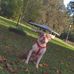 Chris Hardiman - Facebook