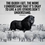 Chris Hardiman - @chris.hardiman.581 - Instagram