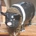 Chris Harringer - Facebook