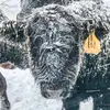 Chris - @chris.harrod - TikTok