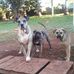 Chris Harry - Facebook