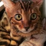 Christian Harshman-Smith - @cd_ii_bob - Instagram