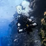 Chris Haswell - @haswell.chris - Instagram