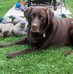 Chris Haug - Facebook