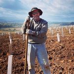 Chris Haughton - @chrishaughtonnc - Instagram