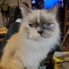 Chris Hauk - @chris.hauk6 - TikTok