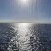 Chris Haukh - @chris.haukh - TikTok