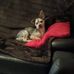 Chris Hausmann - Facebook