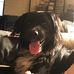 Chris Hawk - Facebook