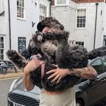 Chris Heard - @chrisheardwhatyoudid - Instagram
