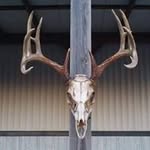 Chris Heard - @cheard527 - Instagram