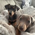 Chris Hedley - @chrissieh58 - Instagram