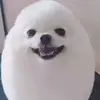 Chris Heflin - @chris.heflin - TikTok