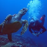 Chris Heitzig - @chrisheitzig - Instagram