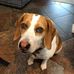 Chris Heminger - Facebook