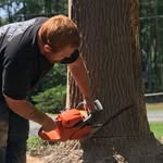 Chris Hendley - @hangintreeshendley - Instagram